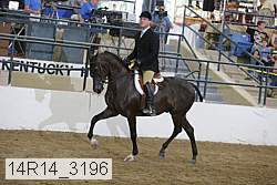 14r14_3196 proof