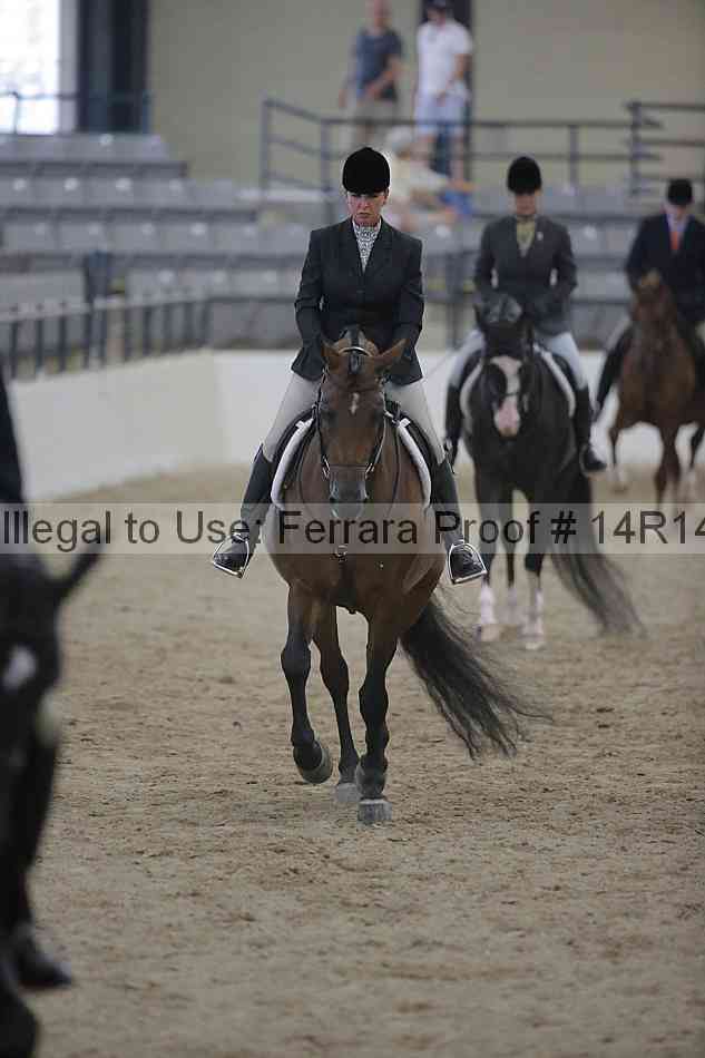 Proof 14r14_3198