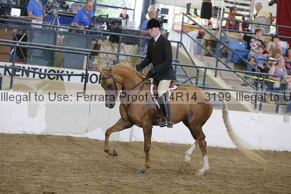 Proof 14r14_3199