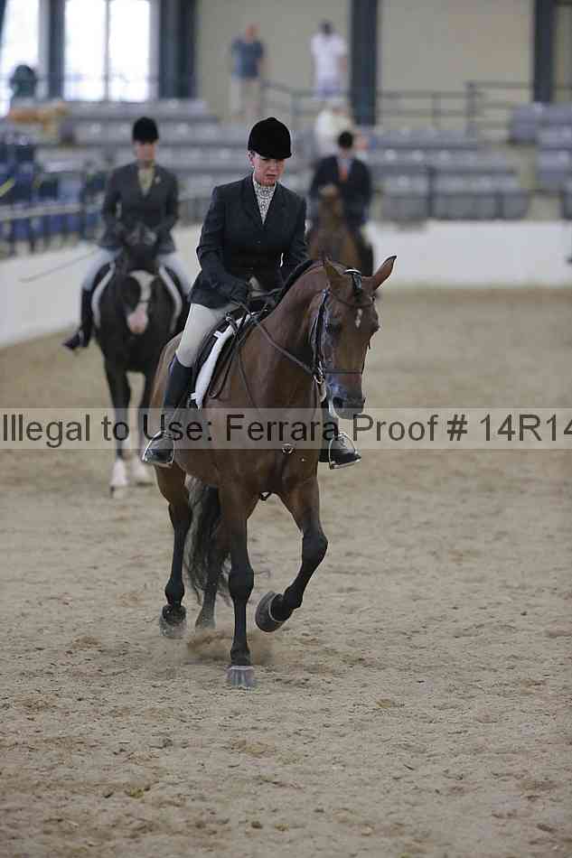 Proof 14r14_3200