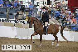 14r14_3201 proof