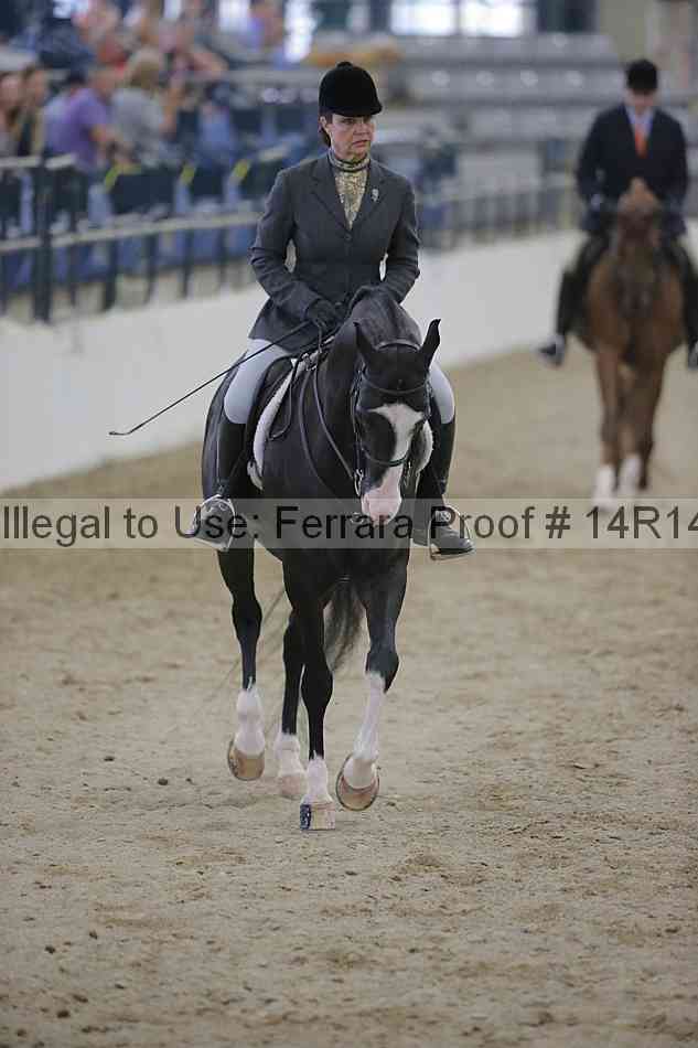 Proof 14r14_3202