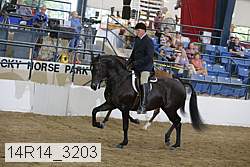 14r14_3203 proof