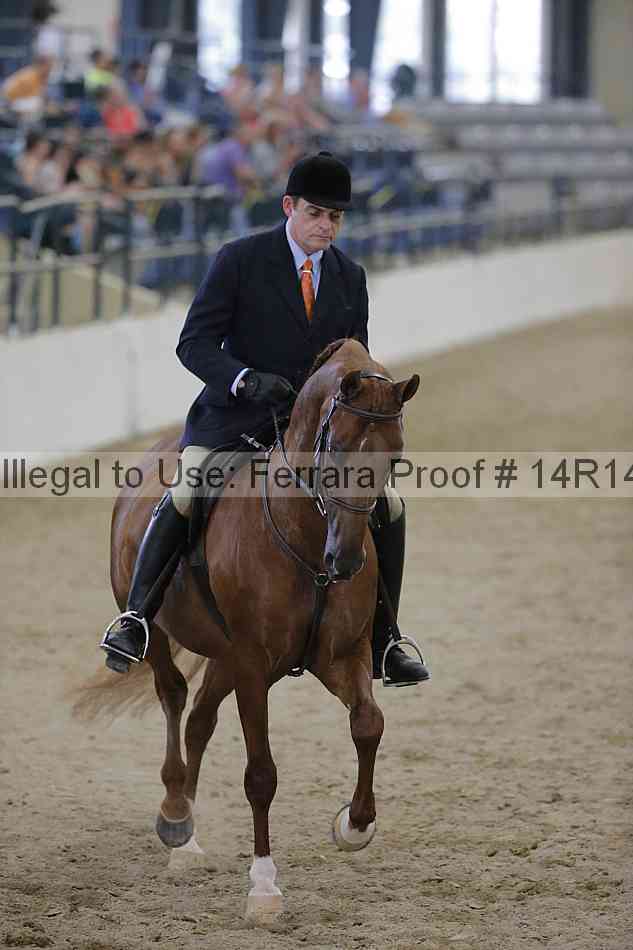 Proof 14r14_3205