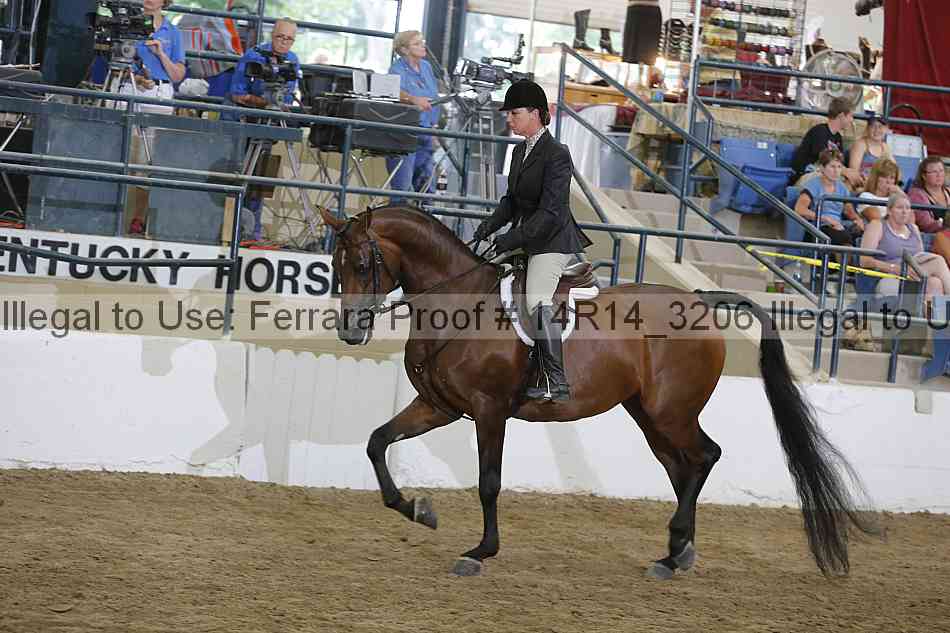 Proof 14r14_3206