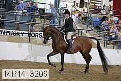 14r14_3206 proof