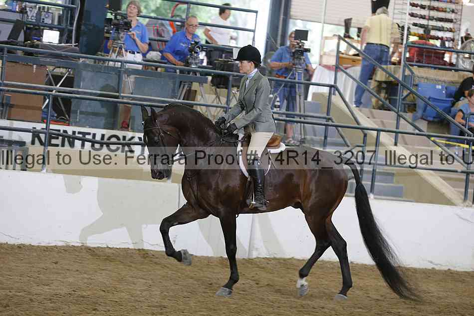 Proof 14r14_3207
