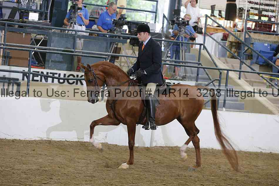 Proof 14r14_3208