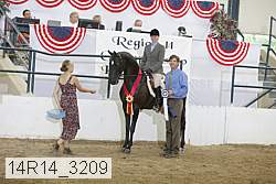 14r14_3209 proof
