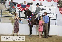 14r14_3213 proof