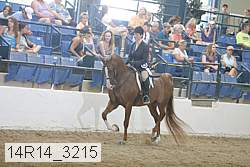 14r14_3215 proof