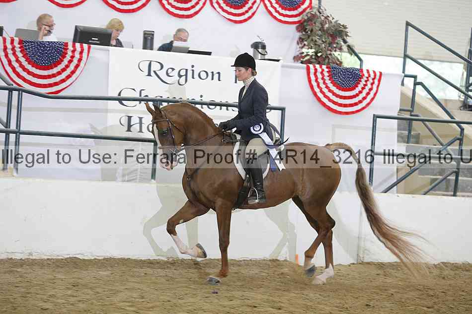 Proof 14r14_3216
