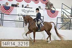 14r14_3216 proof