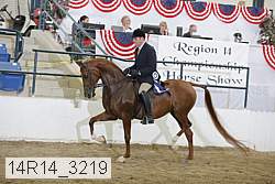 14r14_3219 proof