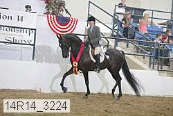 14r14_3224 proof