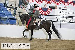 14r14_3226 proof