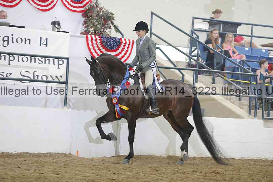 Proof 14r14_3228