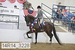 14r14_3228 proof