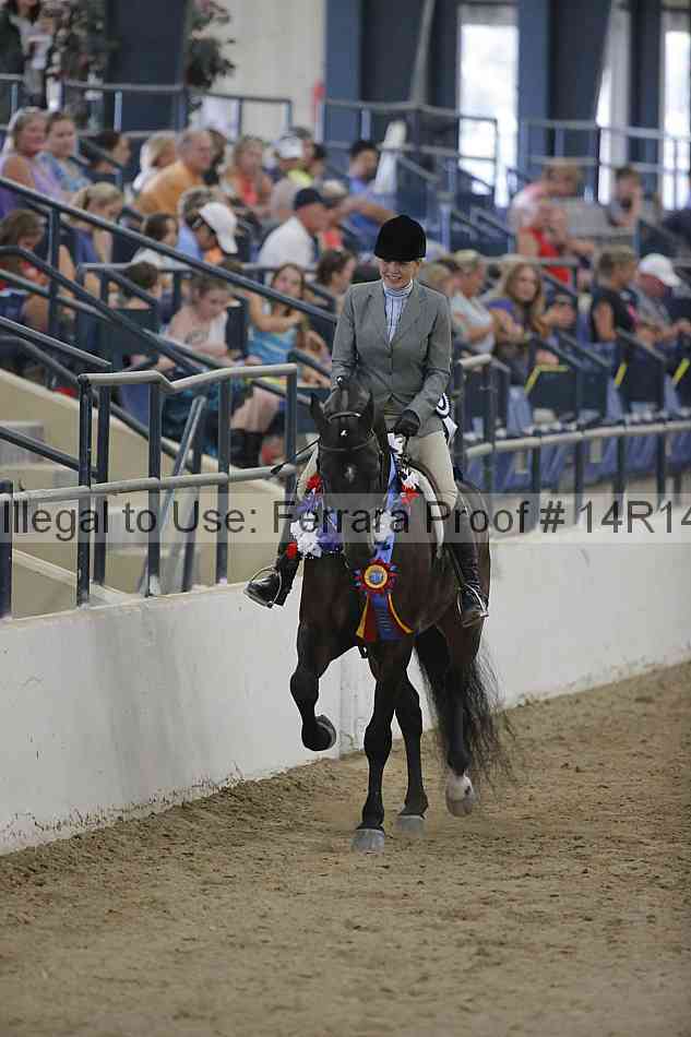Proof 14r14_3229