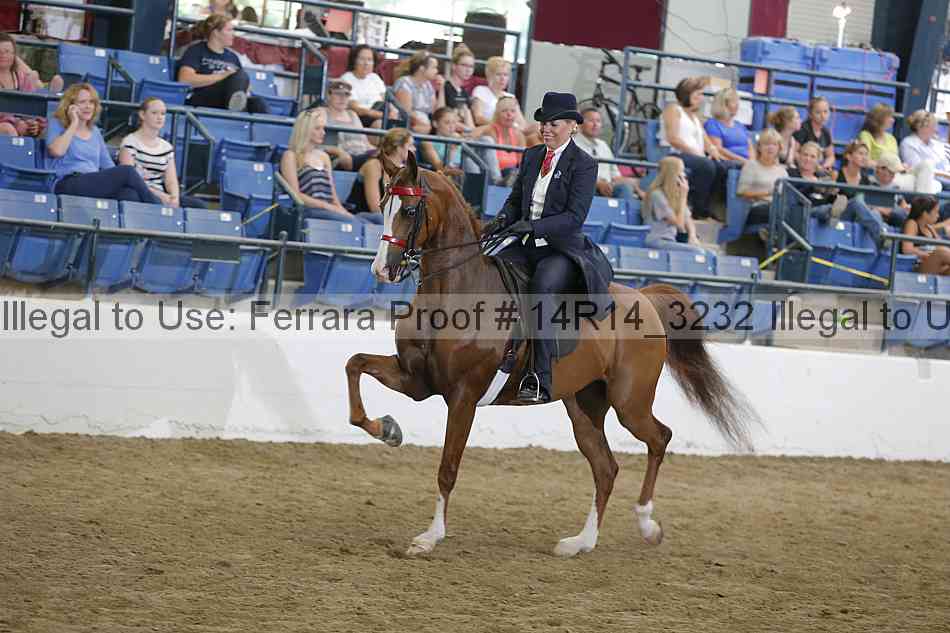 Proof 14r14_3232