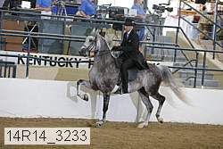 14r14_3233 proof