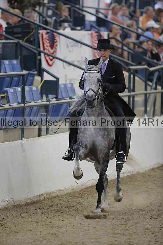 Proof 14r14_3239