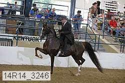 14r14_3246 proof