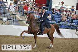 14r14_3256 proof