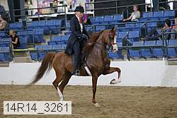 14r14_3261 proof