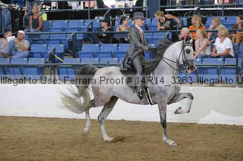 Proof 14r14_3263