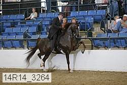 14r14_3264 proof