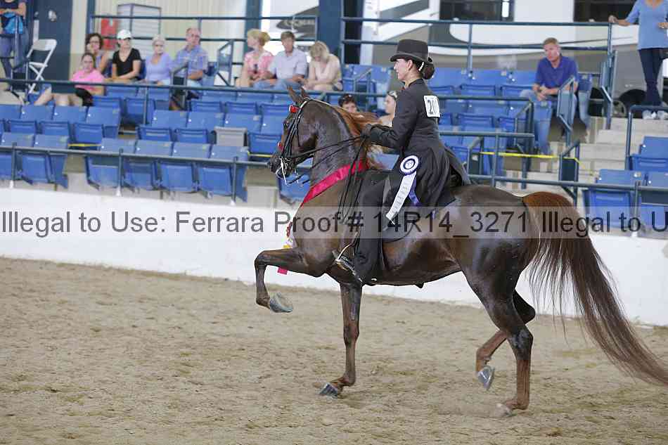 Proof 14r14_3271