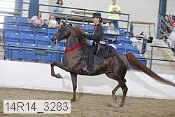 14r14_3283 proof