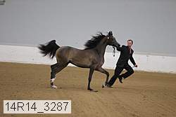 14r14_3287 proof