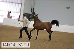 14r14_3290 proof
