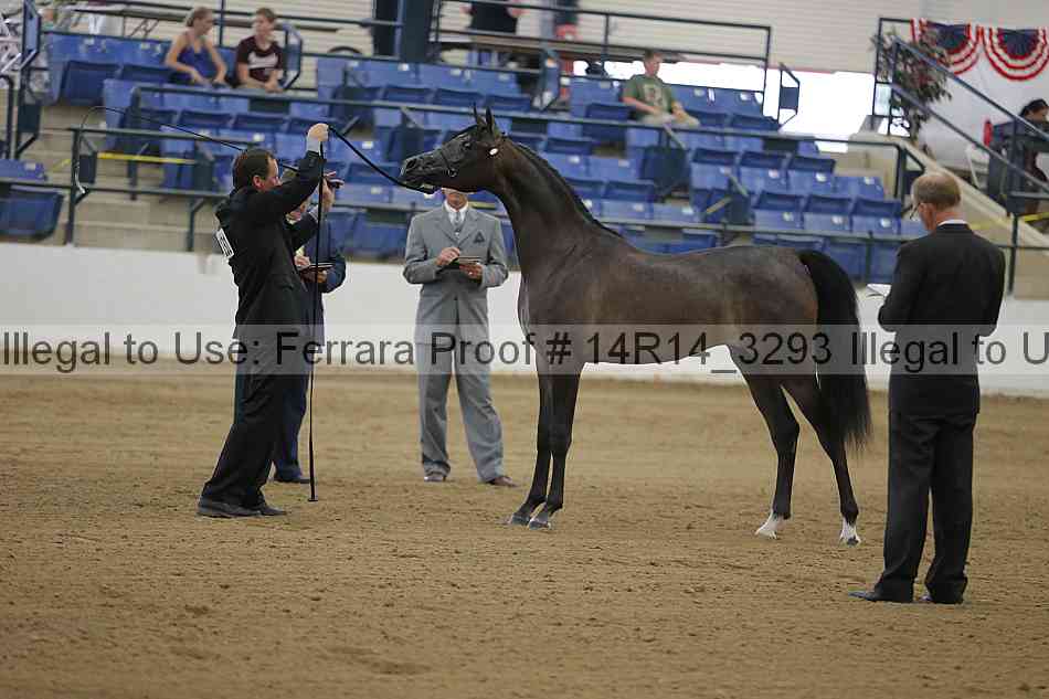Proof 14r14_3293