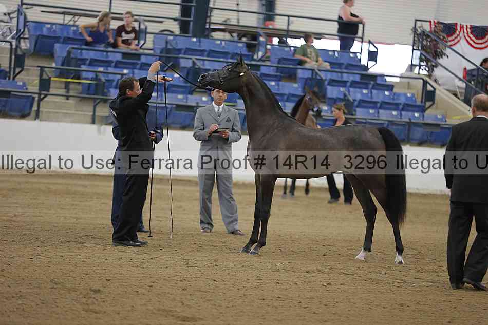 Proof 14r14_3296