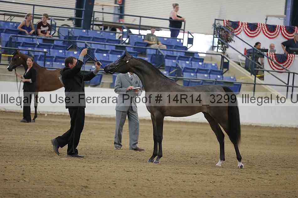 Proof 14r14_3299