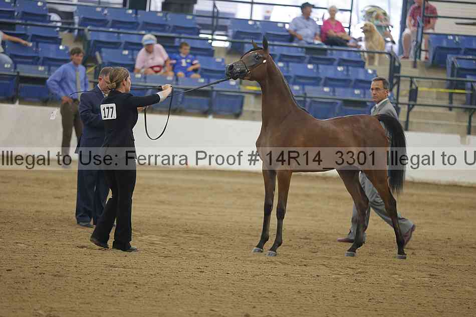Proof 14r14_3301