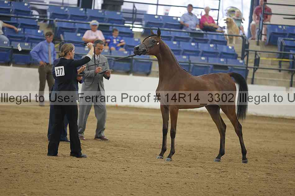 Proof 14r14_3302