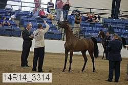14r14_3314 proof