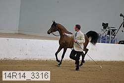 14r14_3316 proof