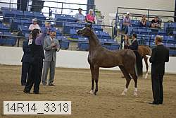 14r14_3318 proof