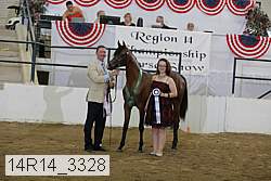 14r14_3328 proof