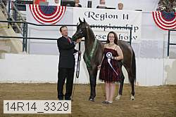 14r14_3329 proof