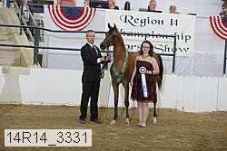 14r14_3331 proof