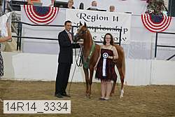14r14_3334 proof