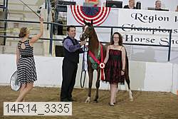 14r14_3335 proof