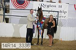 14r14_3336 proof
