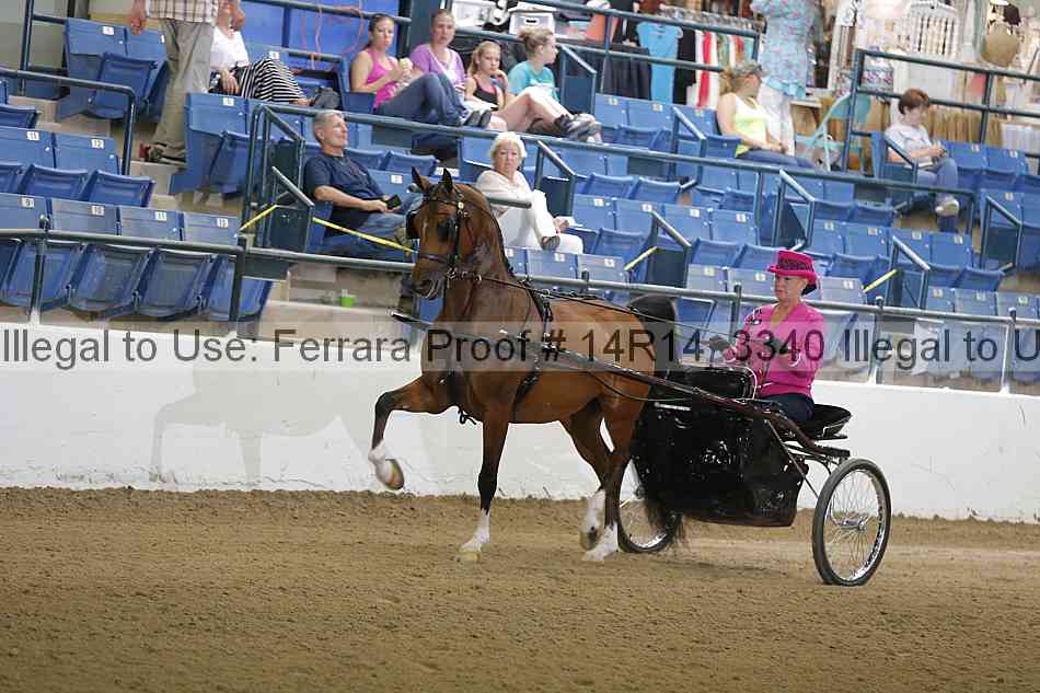 Proof 14r14_3340